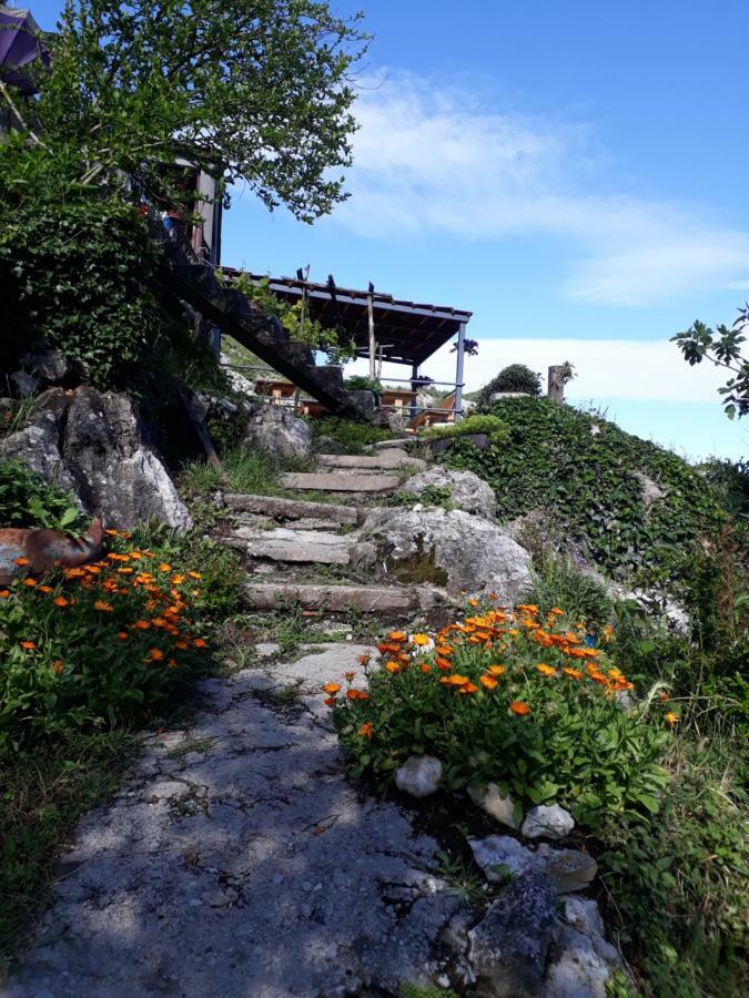 Camp Sunny Hills Virpazar Exterior foto