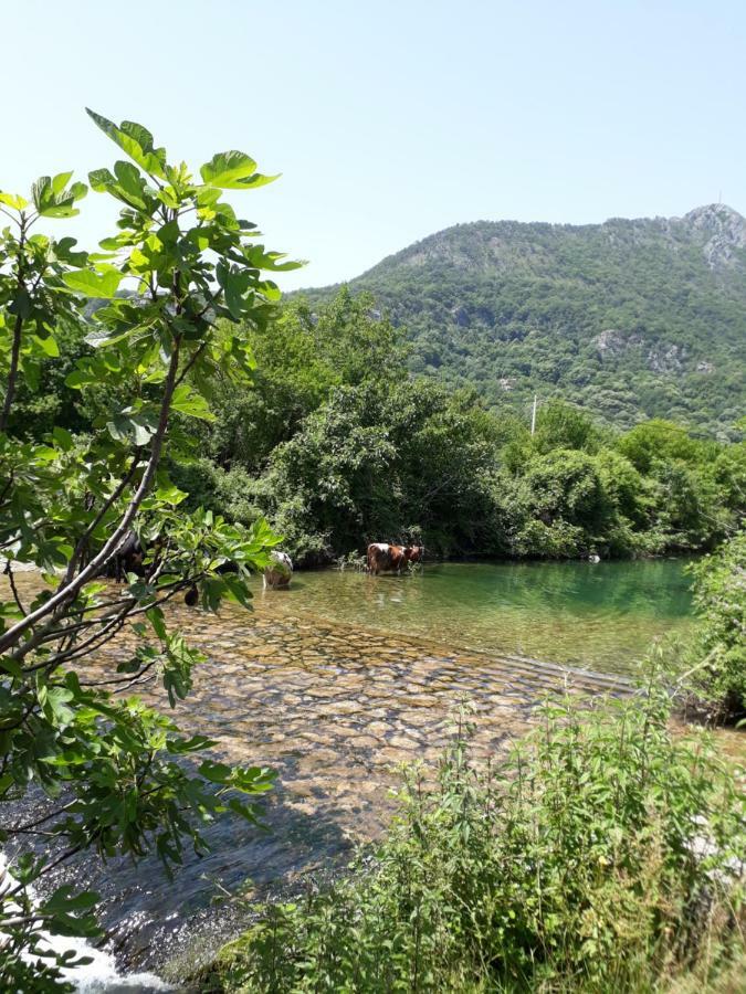 Camp Sunny Hills Virpazar Exterior foto
