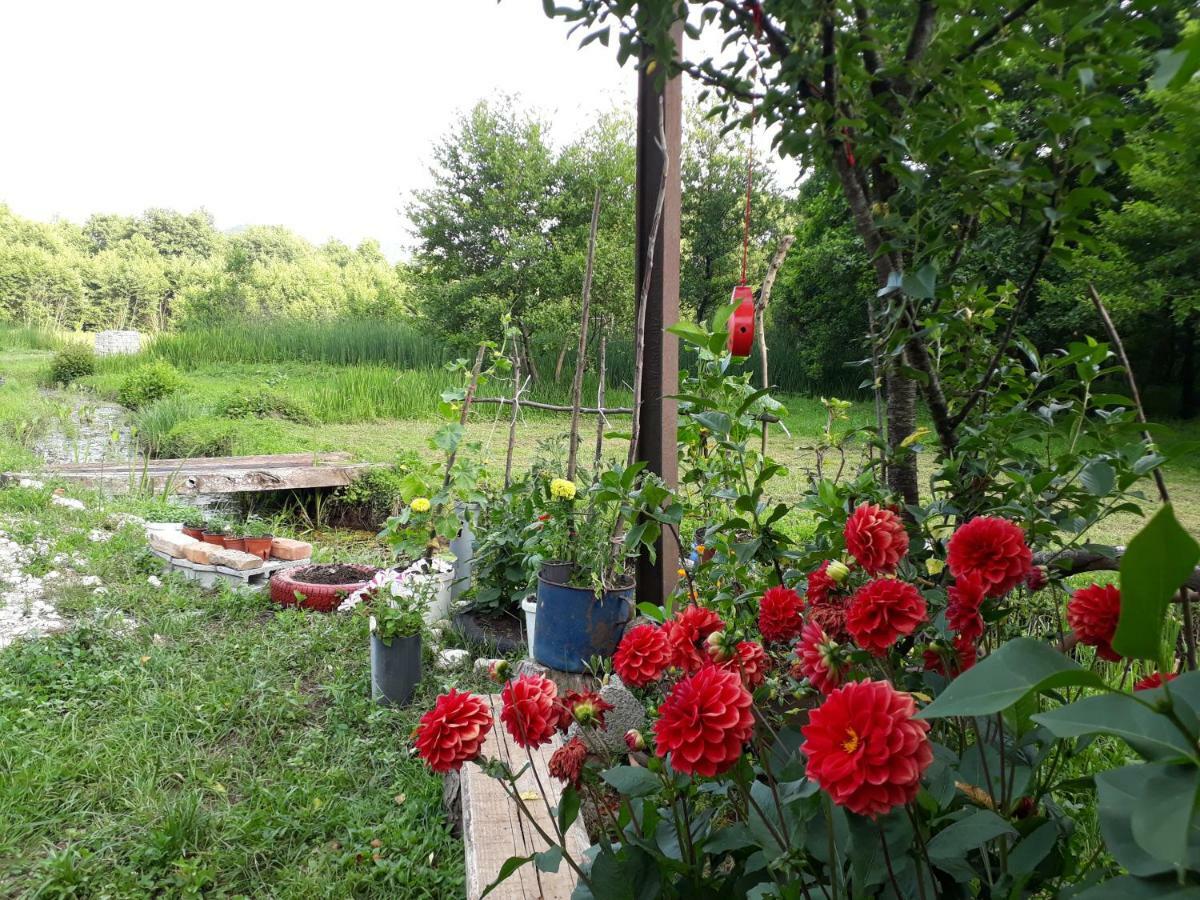 Camp Sunny Hills Virpazar Exterior foto