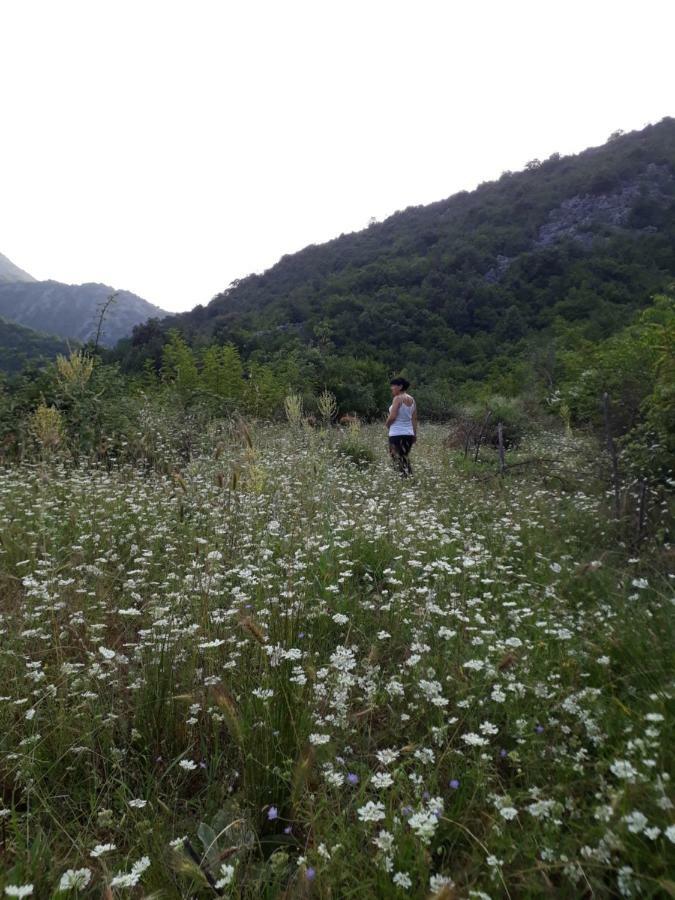 Camp Sunny Hills Virpazar Exterior foto